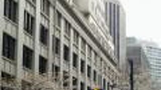 江戸桜通りの桜と桜のれん