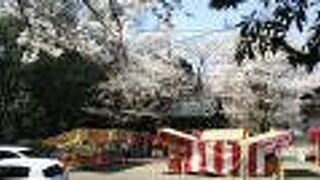春は見事な桜の木や祭り屋台などで楽しげな雰囲気でお参りできます