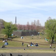 公園の中程はテント組が多いです。みな間隔をとっています