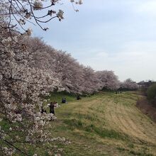 東調整池のほうが人が少なめです