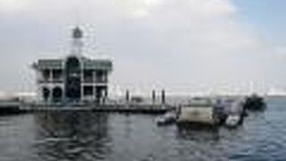 シーバスも寄るみなとみらいの揺れてるぷかりさん橋