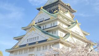 桜と大阪城