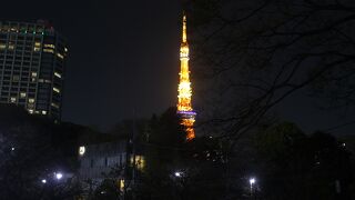 夜桜を見に行きました。ただ少々わかりにくかったです。
