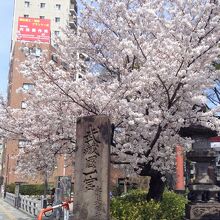 鳥居左の桜の下にある「武蔵国一宮」の石碑。武蔵の一番の宮です