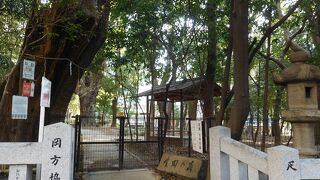 源平合戦の古戦場「生田の森」