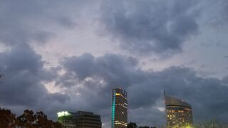 桜を見に行ってきました。