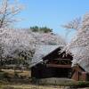 若山公園