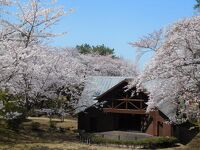 若山公園