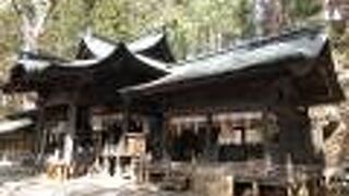 とても見応えがあります。