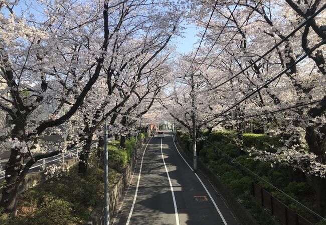 桜坂 クチコミ アクセス 営業時間 田園調布 フォートラベル 桜坂 クチコミ アクセス 営業時間 田園調布 フォートラベル