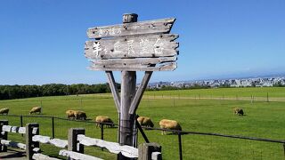クラーク像と羊に会える『羊ヶ丘展望台』