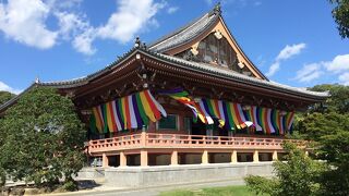 真言宗智山派の総本山