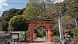 入口を間違えた…