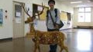 マスコットキャラクター“やっくん”がいました