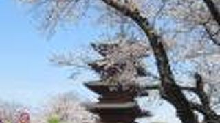 桜の時期はオススメです