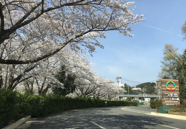 ランドカーで園内を巡るのがおすすめ！