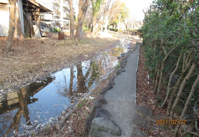 家族連れに最適な散策路