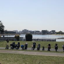 浜辺と海も