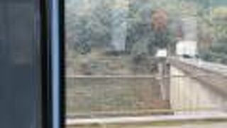 バスから見ました