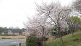 上下線どちらの施設も使えるので、混んでるようなら逆方向の施設を使う裏技も。