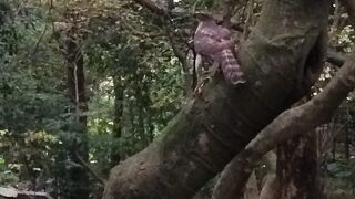 台北植物園 