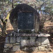 1689年の春、芭蕉は安積山（浅香山）に立ち寄り「花かつみ」を日のくれるまで訪ね歩く