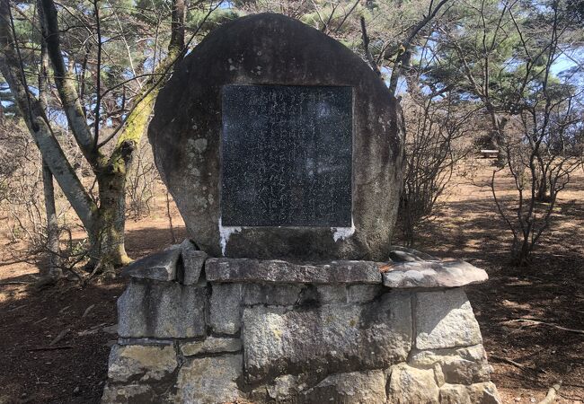 1689年の春、芭蕉は安積山（浅香山）に立ち寄り「花かつみ」を日のくれるまで訪ね歩く