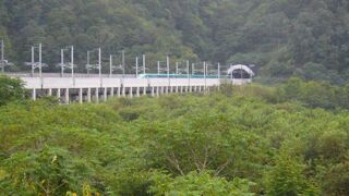 あまりよく見えませんでしたがいい思い出になりました