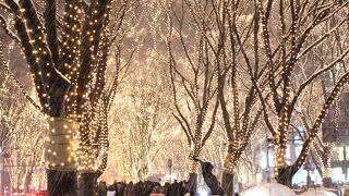 すばらしいイルミネーションでした