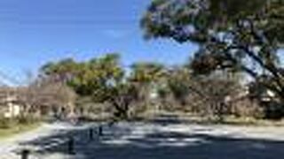 広々としています