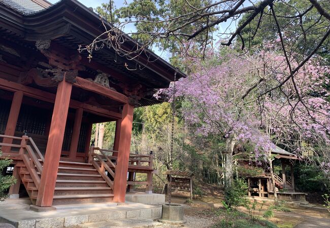 村人と松虫姫の伝説が暖かい歴史あるお寺