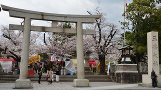 伊豆國一之宮はさすがの桜の名所でもあります