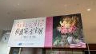 リヒテンシュタイン伯爵家の至宝展