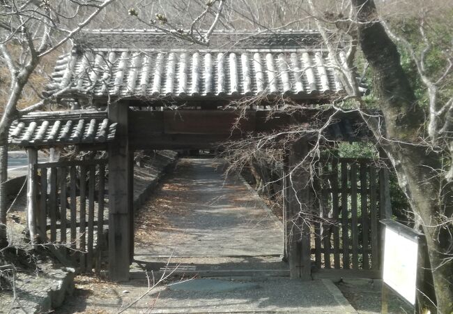 徳島市内ではなく県内でも箸蔵寺と並ぶ屈指の重要文化財の宝庫。伽藍は壮観なり。