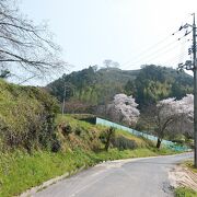 山陰に大きな影響力を持った戦国大名尼子氏の居城跡