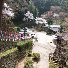 根本堂から下の境内を見下ろした風景です