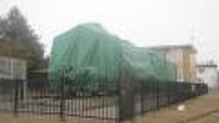 冬季は姿が拝めませんのでご注意を…。