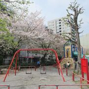 桜がきれいな児童公園です