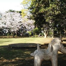 園内の遺跡風のオブジェと桜をセットで撮影