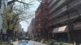 遅咲きの桜並木