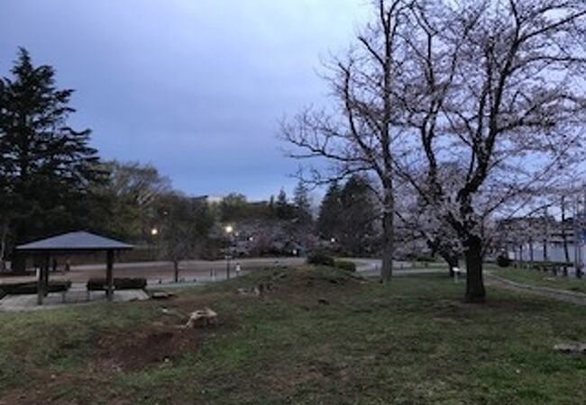 美しが丘公園 クチコミ アクセス 営業時間 港北 長津田 青葉 フォートラベル 美しが丘公園 クチコミ アクセス 営業時間 港北 長津田 青葉 フォートラベル