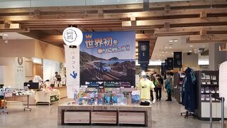 阿波おどり会館から眉山行きのロープウェイ乗れます。