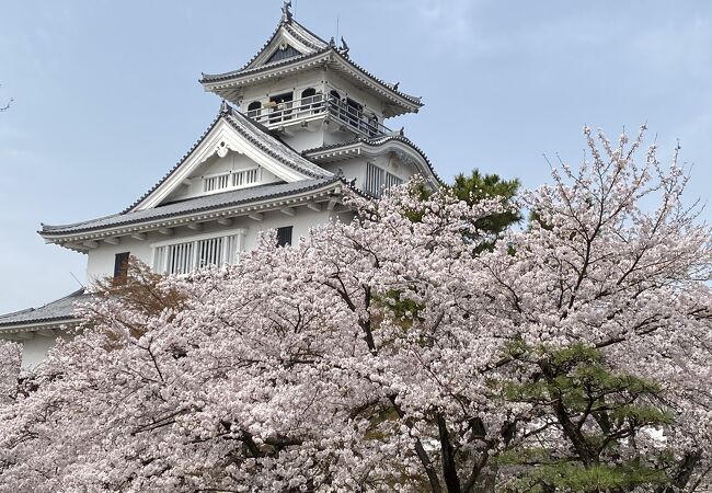 豊公園 クチコミ アクセス 営業時間 長浜 フォートラベル
