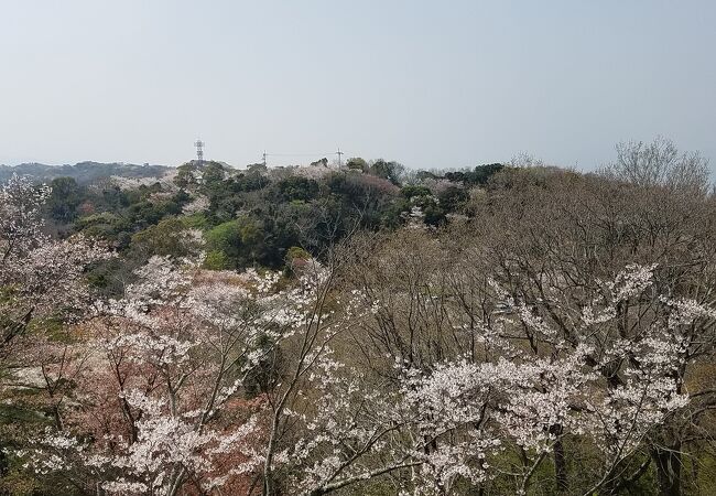 眉山公園 クチコミ アクセス 営業時間 徳島市 フォートラベル