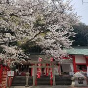 阿波おどり隣の神社