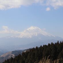 山頂からの富士山