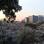 高台にある桜の名所