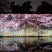 NAKED FLOWERS －桜－世界遺産・二条城に行きました。