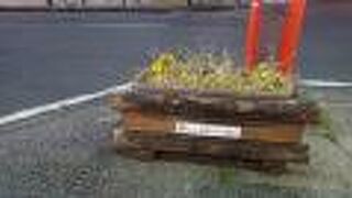 さりげなく咲いている花が綺麗でした