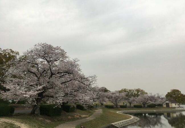 洲原公園 クチコミ アクセス 営業時間 刈谷 知立 フォートラベル 洲原公園 クチコミ アクセス 営業時間 刈谷 知立 フォートラベル